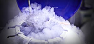 Συναίνεση, κρυοσυντηρημένο σπέρμα και μεταθανάτια σύλληψη: Πλοήγηση στον ηθικό λαβύρινθο